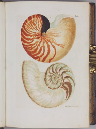 Vergnügen der Augen und des Gemüths, in Vorstellung einer allgemeinen Sammlung von Schnecken und Muscheln, welche im Meer gefunden werden.