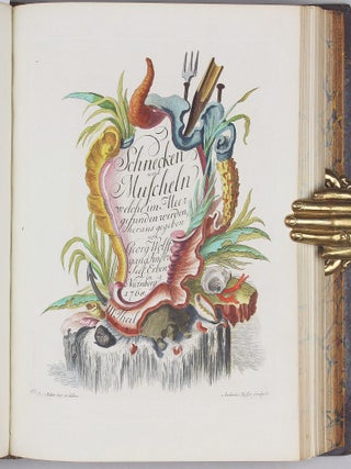 Vergnügen der Augen und des Gemüths, in Vorstellung einer allgemeinen Sammlung von Schnecken und Muscheln, welche im Meer gefunden werden.