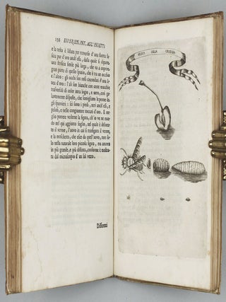 Esperienze intorno alla generazione degli' insetti . . . scitte in una lettera all' illustrissimo signor Carlo Dati.
