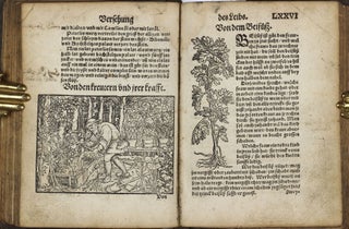 Recht gründtliche bewerte Cur des Steins, Sandt, vnd Grieß inn Nieren, Blasen vnnd Lenden... / Practicir Büchlin der Leibartznei. Wie mann in allen Kranckheiten, und Leibs Gebrechen, durch bewert Artznei, heylen und helffen sol...