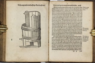 Recht gründtliche bewerte Cur des Steins, Sandt, vnd Grieß inn Nieren, Blasen vnnd Lenden... / Practicir Büchlin der Leibartznei. Wie mann in allen Kranckheiten, und Leibs Gebrechen, durch bewert Artznei, heylen und helffen sol...