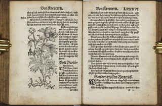 Recht gründtliche bewerte Cur des Steins, Sandt, vnd Grieß inn Nieren, Blasen vnnd Lenden... / Practicir Büchlin der Leibartznei. Wie mann in allen Kranckheiten, und Leibs Gebrechen, durch bewert Artznei, heylen und helffen sol...
