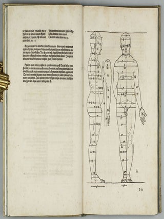 De Symmetria partium in rectis formis humanorum corporum, Libri in Latinum conversi (per J. Camerarium).