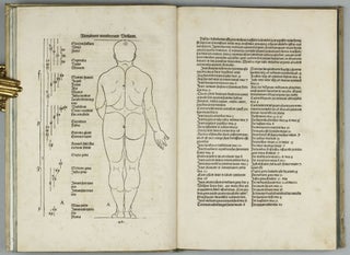 De Symmetria partium in rectis formis humanorum corporum, Libri in Latinum conversi (per J. Camerarium).