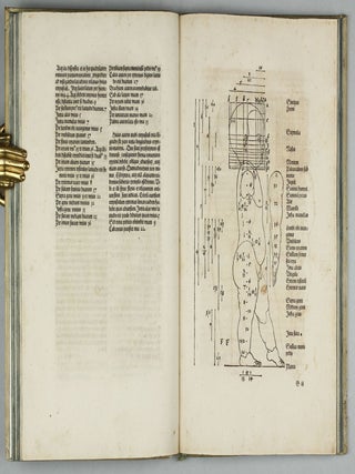 De Symmetria partium in rectis formis humanorum corporum, Libri in Latinum conversi (per J. Camerarium).