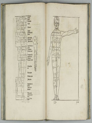 De Symmetria partium in rectis formis humanorum corporum, Libri in Latinum conversi (per J. Camerarium).