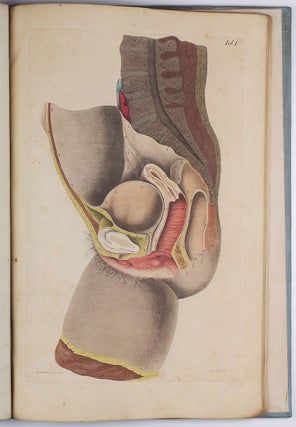 Chirurgisch-anatomische Abbildungen = Icones chirurgico-anatomicae in usum medicorum et chirurgorum.