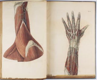 Chirurgisch-anatomische Abbildungen = Icones chirurgico-anatomicae in usum medicorum et chirurgorum.