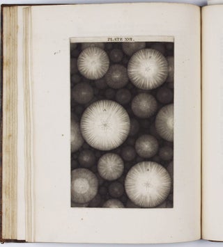 An original theory or new hypothesis of the universe, founded upon the laws of nature, and solving by mathematical principles the general phaenomena of the visible creation; and particularly the Via Lactea.