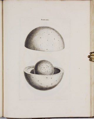 An original theory or new hypothesis of the universe, founded upon the laws of nature, and solving by mathematical principles the general phaenomena of the visible creation; and particularly the Via Lactea.