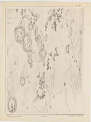 Astronomische Beobachtungen und Resultate aus den Jahren 1893 und 1894. Neue Beiträge zur Begründung einer modernen Selenographie und Selenologie. Gesammelt aus seiner Privatsternwarte zu Kaiserslautern... Mit einem Atlas von 25 Topographischen Spezialkarten des Mondes.