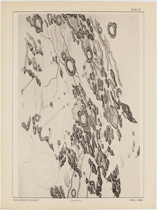 Astronomische Beobachtungen und Resultate aus den Jahren 1893 und 1894. Neue Beiträge zur Begründung einer modernen Selenographie und Selenologie. Gesammelt aus seiner Privatsternwarte zu Kaiserslautern... Mit einem Atlas von 25 Topographischen Spezialkarten des Mondes.