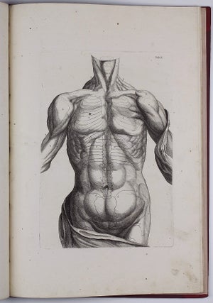 Kurtzer Begriff der Anatomie worinnen hauptsächlich die nöthigsten Stücke der Osteologie und Myologie in XIX. Kupfer Tabellen enthalten. . .