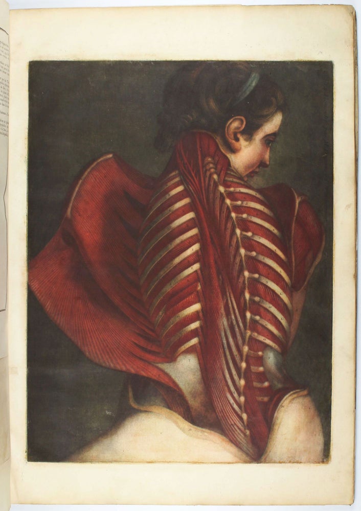 Item #002642 Myologie complette en couleur et grandeur naturelle, composée de l'essai et de la suite de l'essai d'anatomie, en tableaux imprimés. Jacques Fabien GAUTIER D'AGOTY.