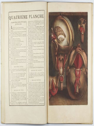 Myologie complette en couleur et grandeur naturelle, composée de l'essai et de la suite de l'essai d'anatomie, en tableaux imprimés.