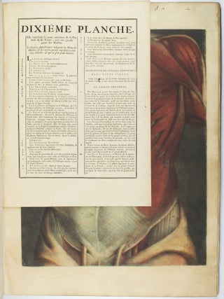 Myologie complette en couleur et grandeur naturelle, composée de l'essai et de la suite de l'essai d'anatomie, en tableaux imprimés.