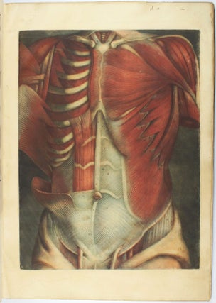 Myologie complette en couleur et grandeur naturelle, composée de l'essai et de la suite de l'essai d'anatomie, en tableaux imprimés.