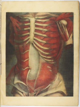 Myologie complette en couleur et grandeur naturelle, composée de l'essai et de la suite de l'essai d'anatomie, en tableaux imprimés.