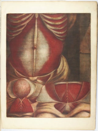 Myologie complette en couleur et grandeur naturelle, composée de l'essai et de la suite de l'essai d'anatomie, en tableaux imprimés.