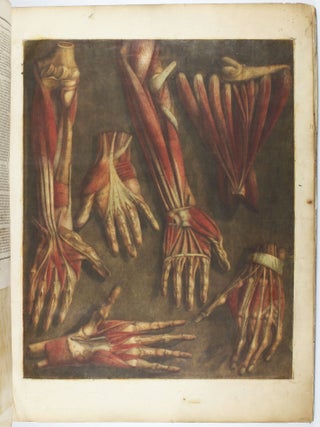 Myologie complette en couleur et grandeur naturelle, composée de l'essai et de la suite de l'essai d'anatomie, en tableaux imprimés.
