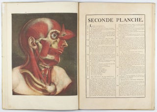 Myologie complette en couleur et grandeur naturelle, composée de l'essai et de la suite de l'essai d'anatomie, en tableaux imprimés.
