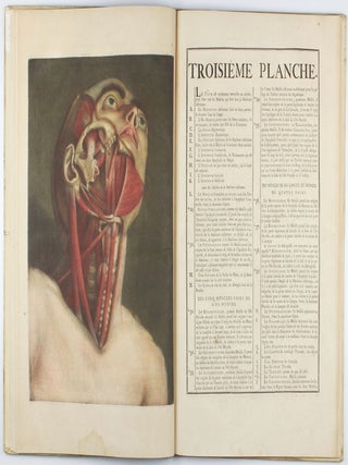 Myologie complette en couleur et grandeur naturelle, composée de l'essai et de la suite de l'essai d'anatomie, en tableaux imprimés.