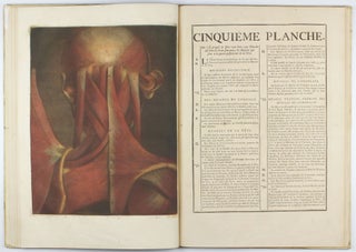 Myologie complette en couleur et grandeur naturelle, composée de l'essai et de la suite de l'essai d'anatomie, en tableaux imprimés.
