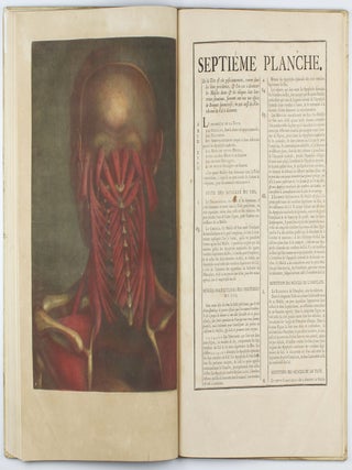 Myologie complette en couleur et grandeur naturelle, composée de l'essai et de la suite de l'essai d'anatomie, en tableaux imprimés.