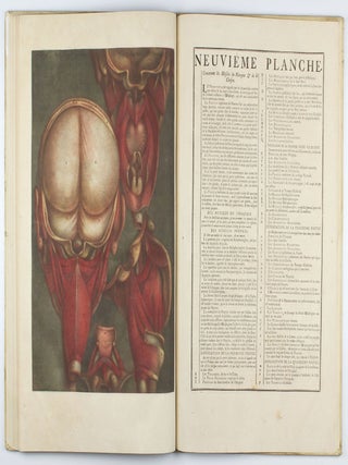 Myologie complette en couleur et grandeur naturelle, composée de l'essai et de la suite de l'essai d'anatomie, en tableaux imprimés.