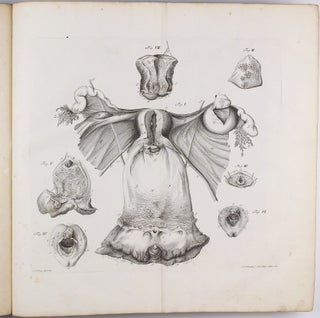 Iconum anatomicarum quibus praccipuae partes corporis humani delineatac continentur.