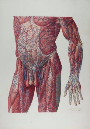 Anatomia Universa: Anatomiae Universae Pauli Mascagni Icones.