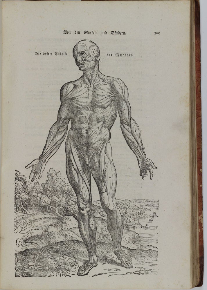 Item #002675 Anatomische Erklärung der Original-Figuren von Andreas Vesal, samt einer Anwendung der Winslowischen Zergliederungslehre in sieben Büchern. Heinrich Palmaz LEVELING.