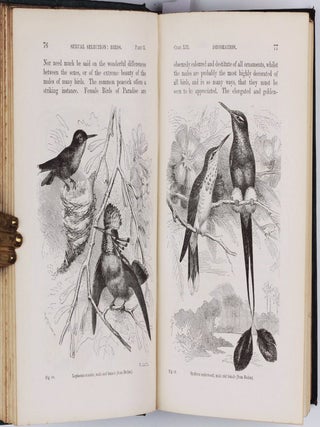 The Descent of Man, and Selection in Relation to Sex.