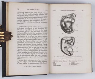 The Descent of Man, and Selection in Relation to Sex.