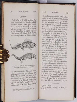 The Descent of Man, and Selection in Relation to Sex.