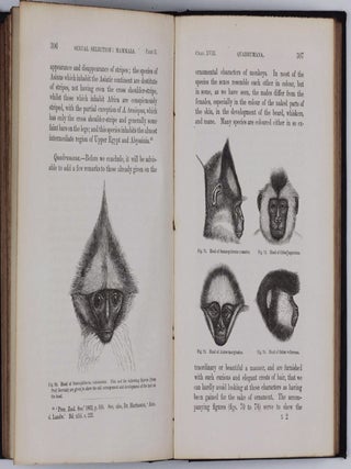 The Descent of Man, and Selection in Relation to Sex.