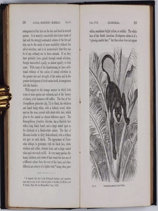 The Descent of Man, and Selection in Relation to Sex.