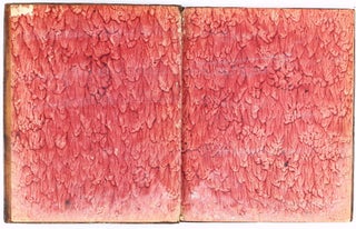 Pyrotechnia sublimis saeculi primaevi, vel Liber meteororum.