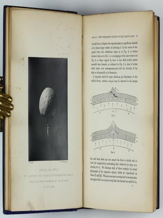 The Moon: Considered as a Planet, a World, and a Satellite.