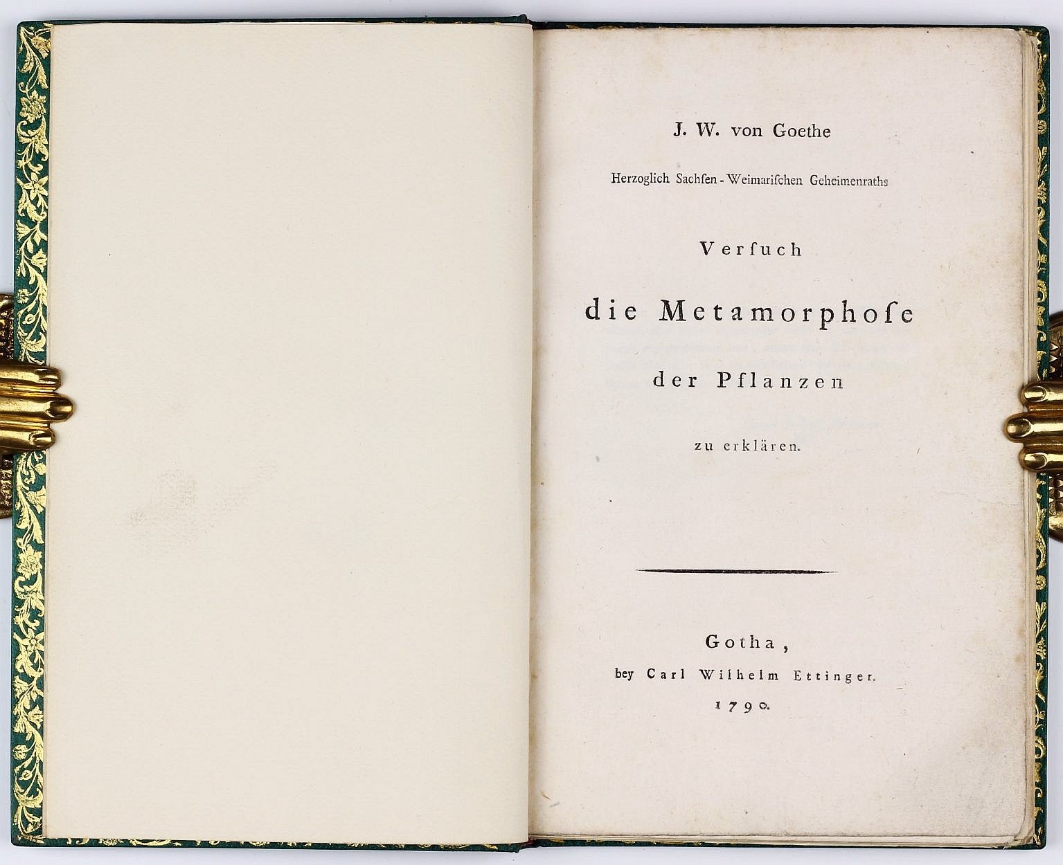 Versuch Die Metamorphose Der Pflanzen Zu Erklären | Johann Wolfgang Von ...