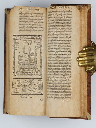 De rerum varietate libri XVII.