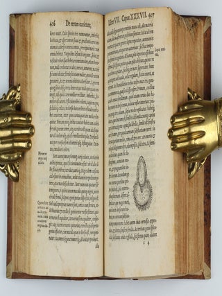 De rerum varietate libri XVII.