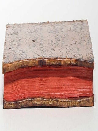 Théorie du mouvement des comètes, dans laquelle on a égard aux altérations que leurs orbites éprouvent par l'action des planètes. Avec l'application de cette théorie à la comète qui a été observée dans les années 1531, 1607, 1682 & 1759.