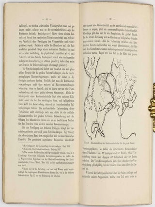 Die Entstehung der Kontinente und Ozeane.