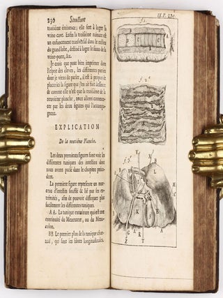 Splanchnologie, ou l'anatomie des visceres; avec des figures orginales, tirées d'après les cadavres; suivie d'une dissertation sur l'origine de la chirurgie. . .