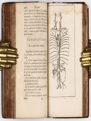 Splanchnologie, ou l'anatomie des visceres; avec des figures orginales, tirées d'après les cadavres; suivie d'une dissertation sur l'origine de la chirurgie. . .