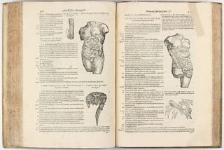 Anatomia: Addita nunc postremo etiam antiquorum anatome.