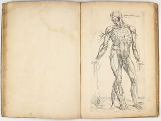 Anatomia; in qua tota humani corporis fabrica , iconibus elegantissimis ... aeri incisis ... additis unicuiq(ue) figurae notis