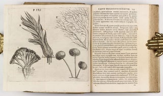 Observationes circa Viventia, quae in rebus non Viventibus reperiuntur. Cum Micrographia curiosa.
