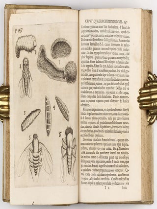 Observationes circa Viventia, quae in rebus non Viventibus reperiuntur. Cum Micrographia curiosa.